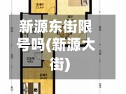 新源东街限号吗(新源大街)