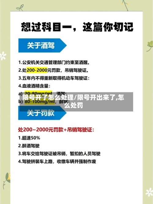 限号开了怎么处理/限号开出来了,怎么处罚-第3张图片