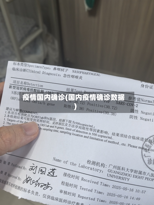 疫情国内确诊(国内疫情确诊数据)-第2张图片